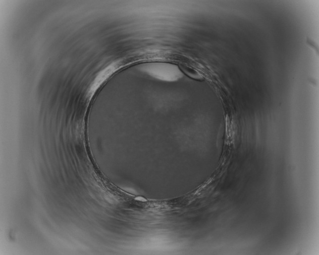 X0000102770099200809021038