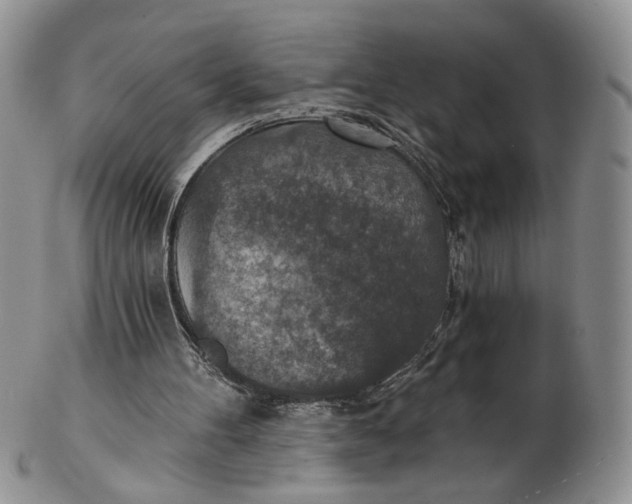 X0000102770100200809021038