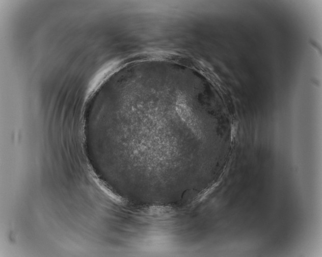 X0000102770101200809021038