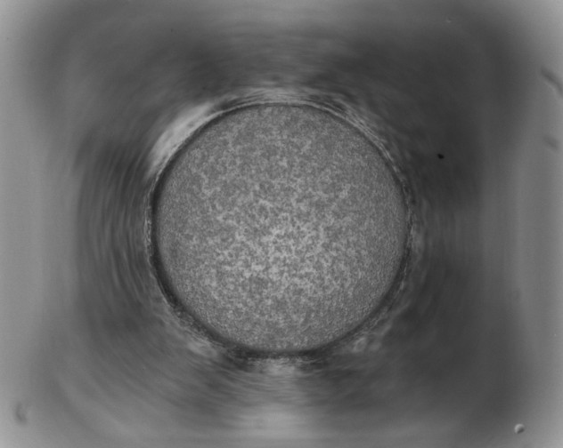 X0000102770103200809021038