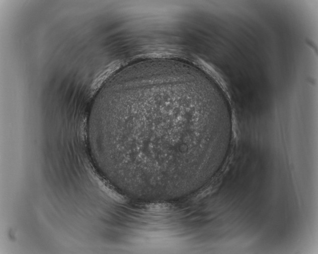 X0000102770105200809021038