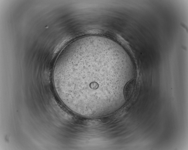 X0000102770106200809021038