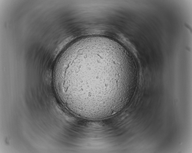 X0000102770107200809021038