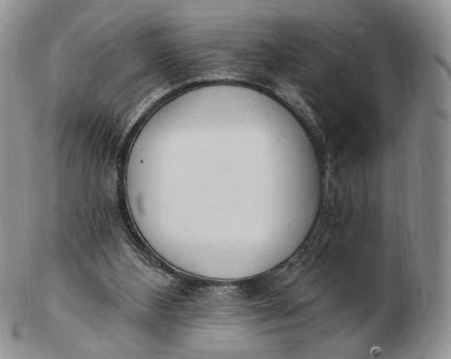 X0000102770108200809021038