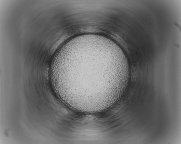 X0000102770111200809021038