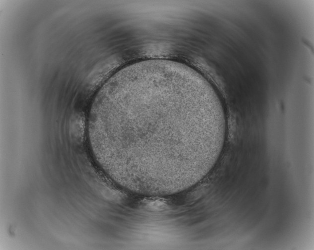 X0000102770113200809021038