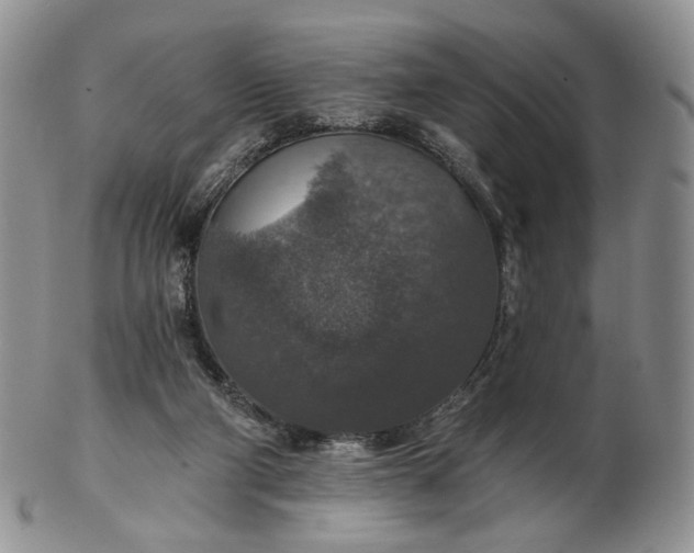 X0000102770114200809021038