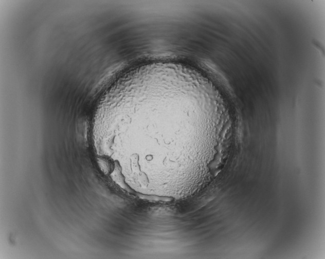 X0000102770115200809021038