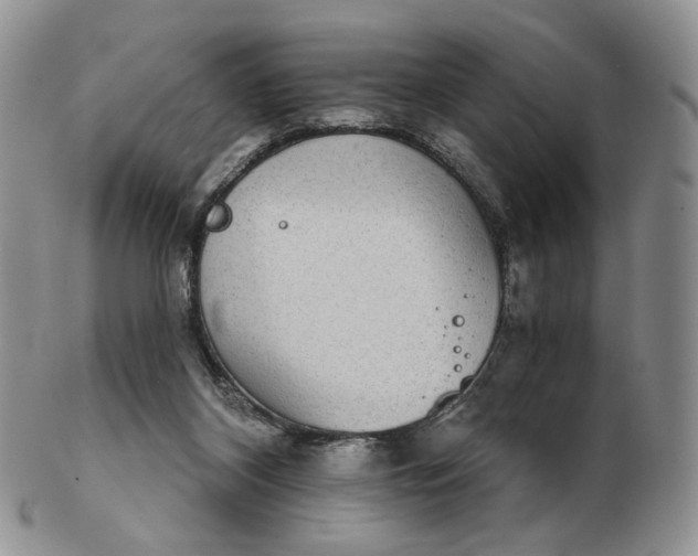 X0000102770116200809021038