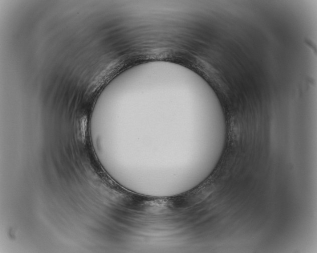 X0000102770118200809021038