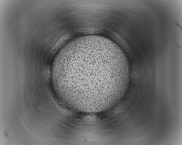 X0000102770119200809021038