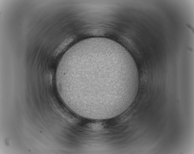 X0000102770120200809021038