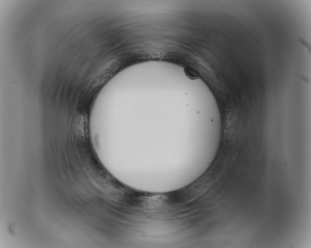 X0000102770122200809021038