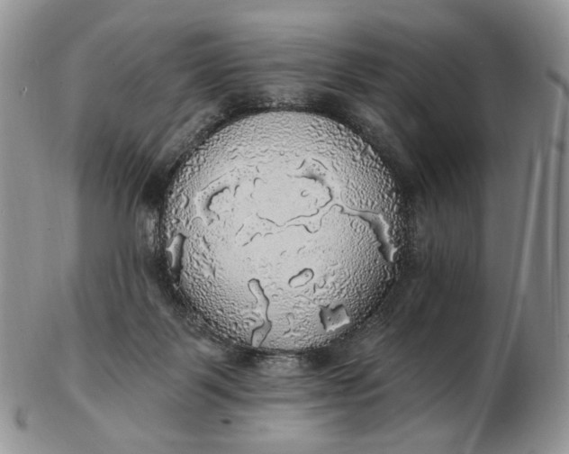 X0000102770123200809021038