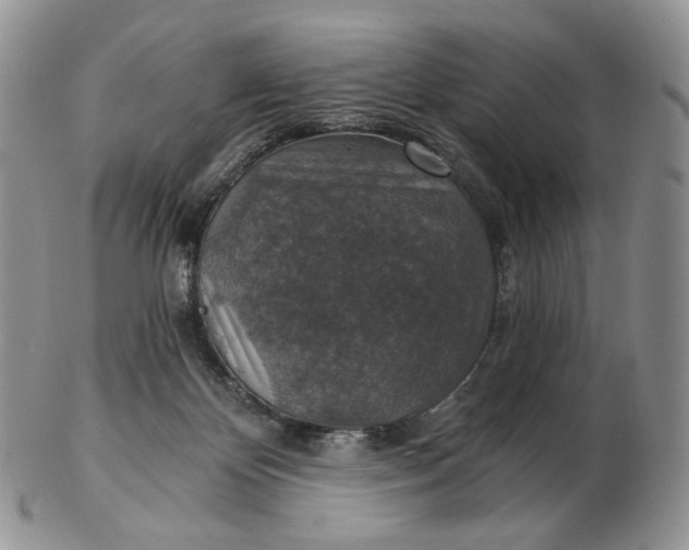 X0000102770124200809021038