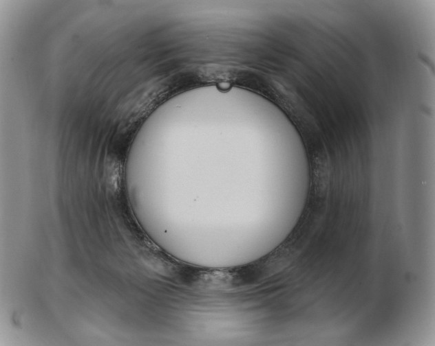 X0000102770125200809021038