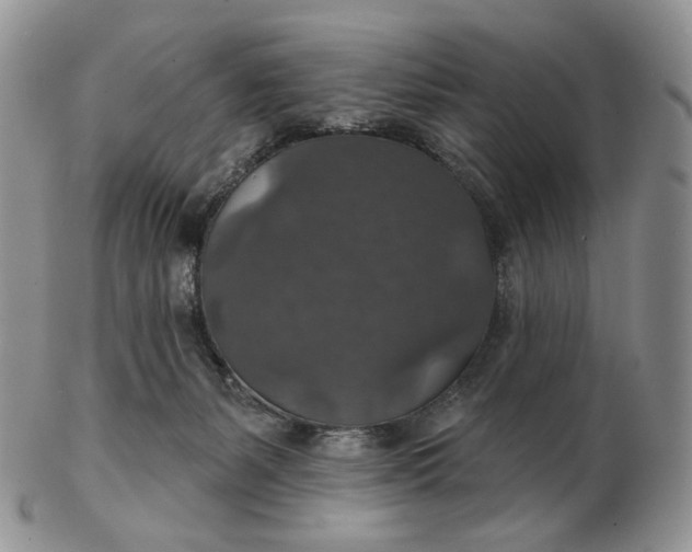 X0000102770127200809021038