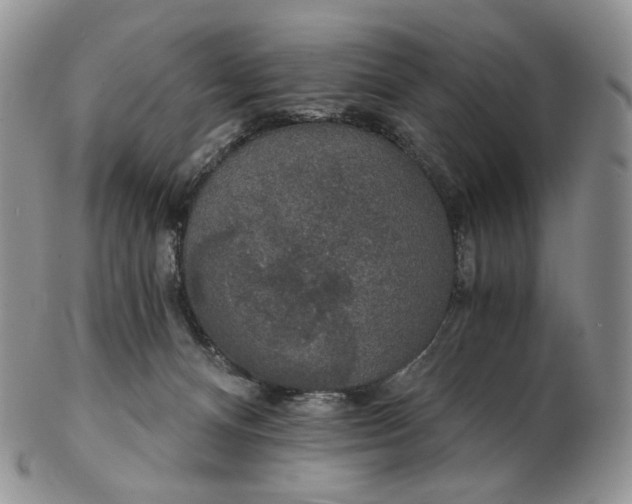 X0000102770128200809021038