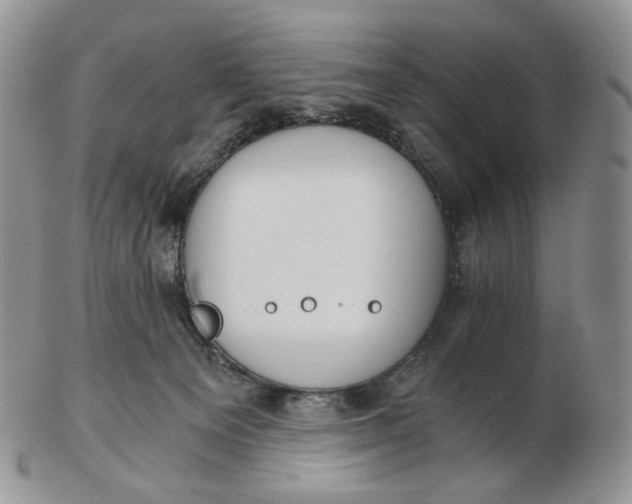 X0000102770129200809021038