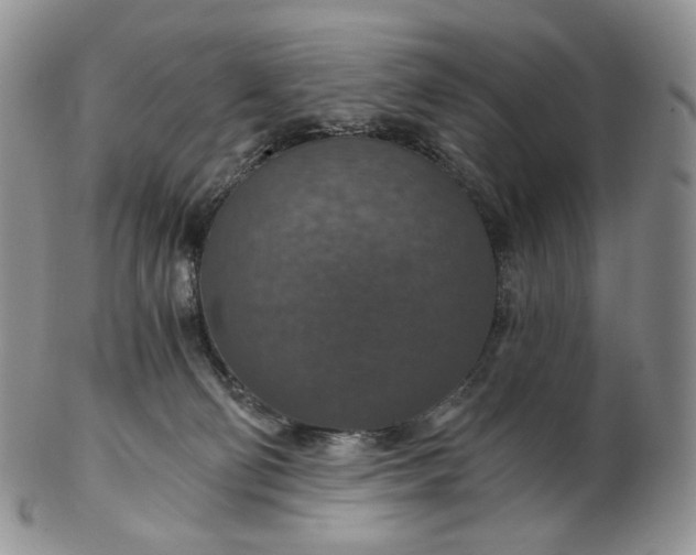 X0000102770130200809021038