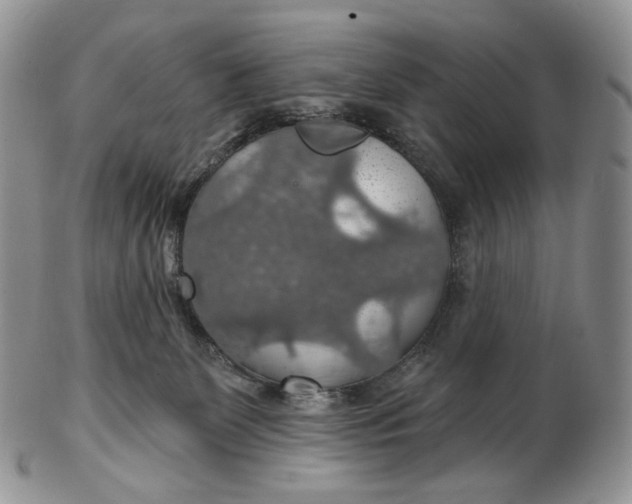 X0000102770131200809021038