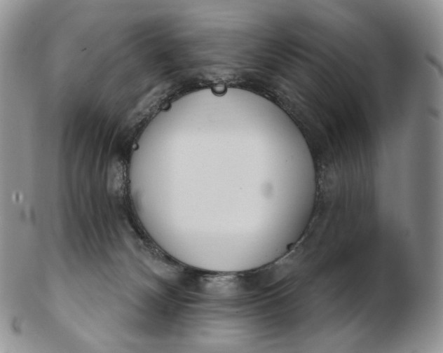 X0000102770132200809021038