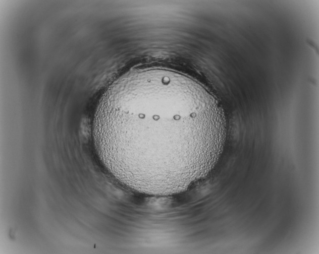 X0000102770135200809021038