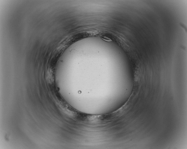 X0000102770136200809021038