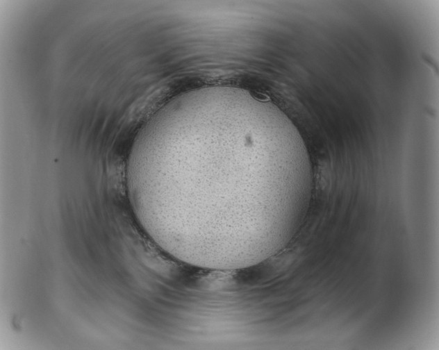 X0000102770138200809021038