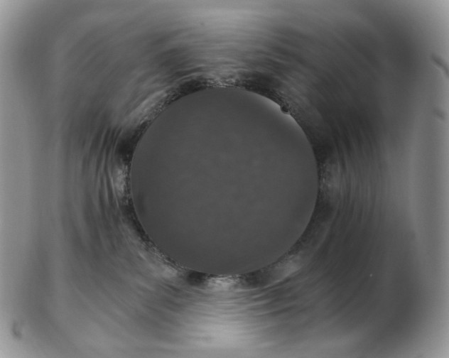 X0000102770139200809021038