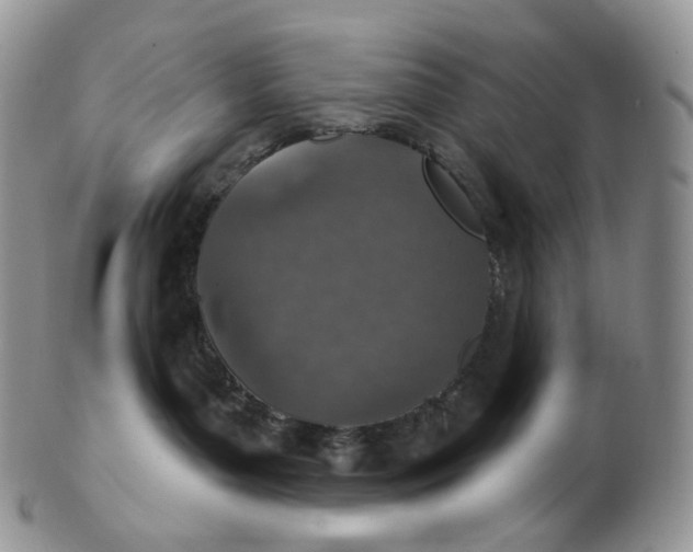 X0000102770143200809021037