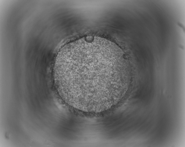 X0000102770144200809021037