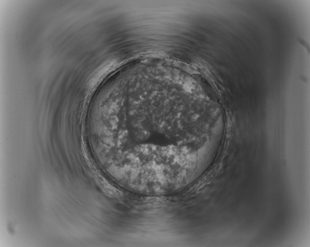 X0000102770145200809021037