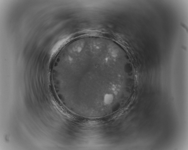 X0000102770149200809021037