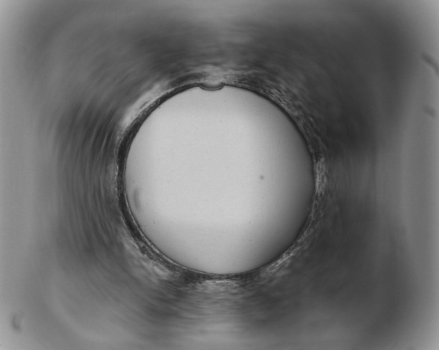 X0000102770150200809021037