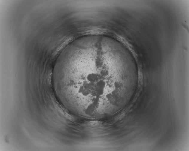 X0000102770153200809021037