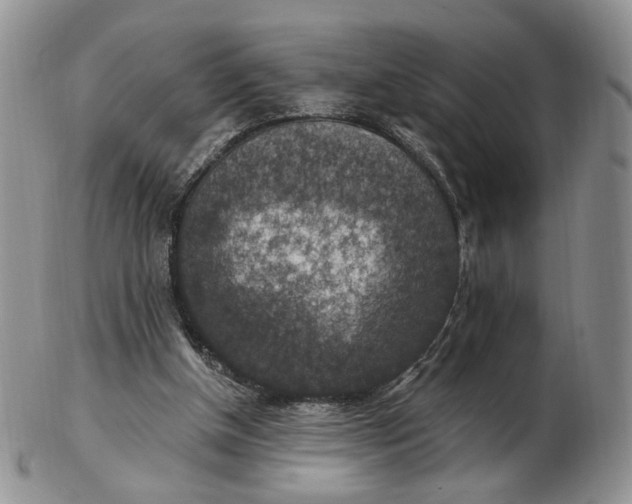 X0000102770154200809021037