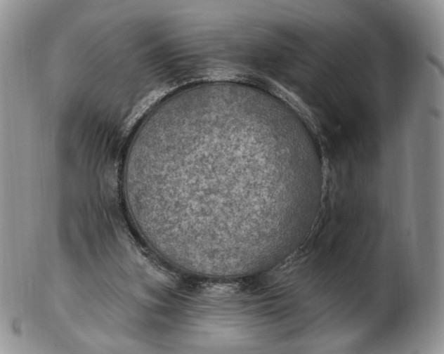 X0000102770155200809021037