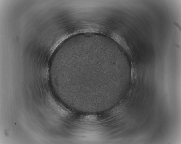 X0000102770156200809021037