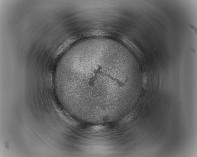 X0000102770158200809021037