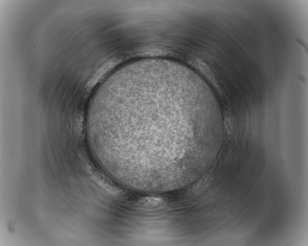 X0000102770159200809021037