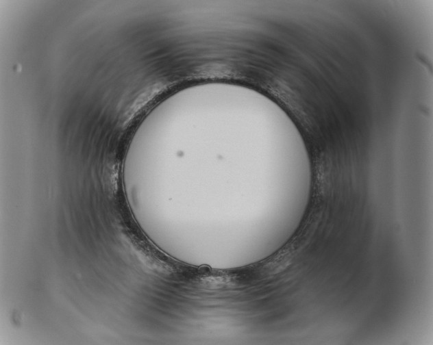 X0000102770160200809021037