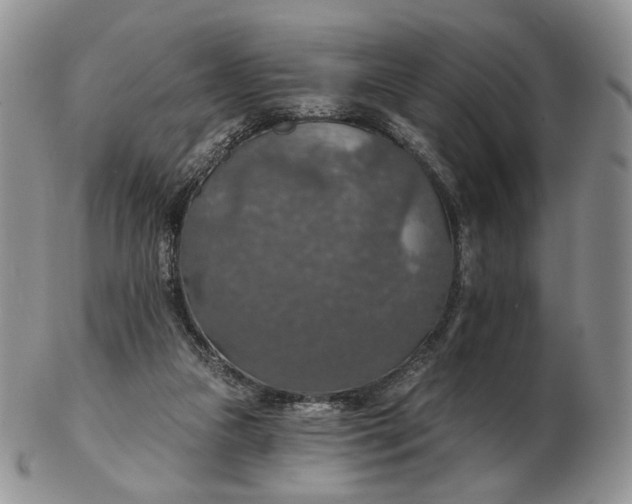 X0000102770161200809021037