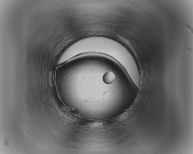 X0000102770162200809021037