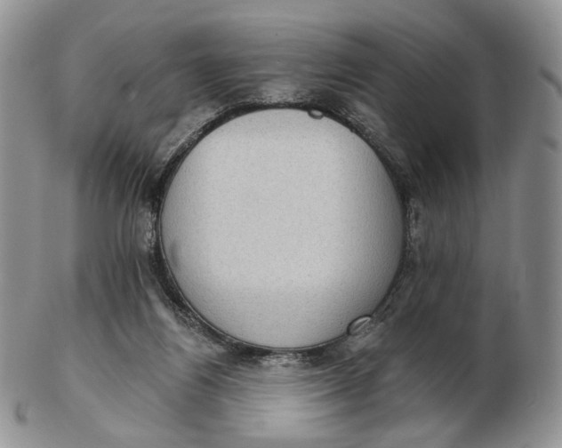 X0000102770164200809021037