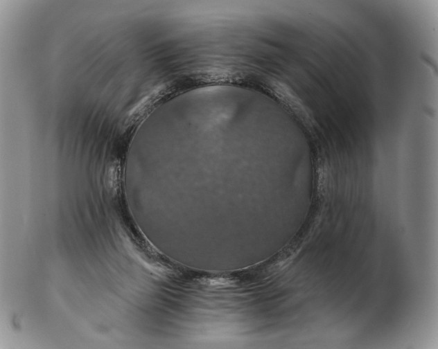 X0000102770165200809021037