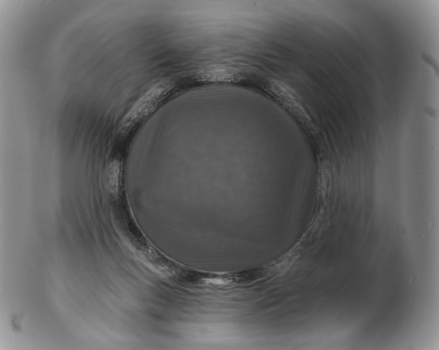 X0000102770167200809021037