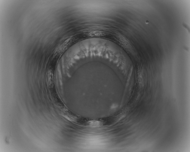 X0000102770169200809021037