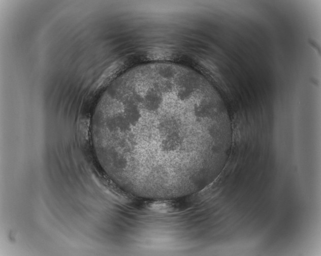 X0000102770171200809021037