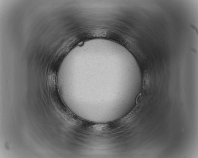 X0000102770172200809021037